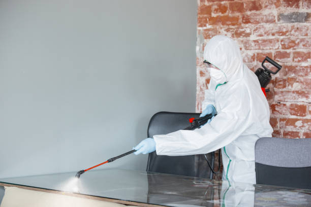 Best Biohazard Mold Removal in USA